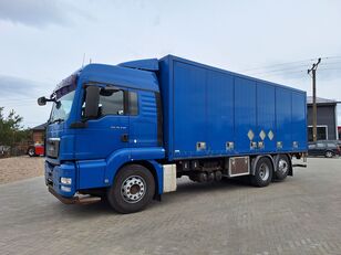 MAN TGS 26.440 Containerchassis LKW