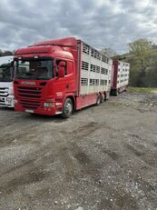 Scania G420 Viehtransporter LKW + Viehanhänger