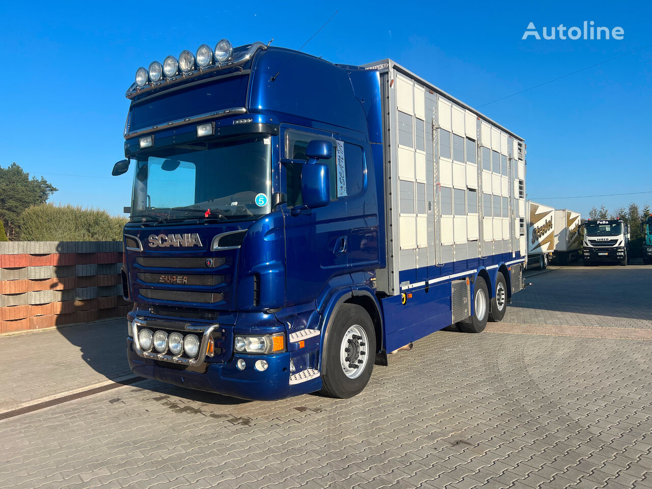 Scania R 620 Viehtransporter LKW
